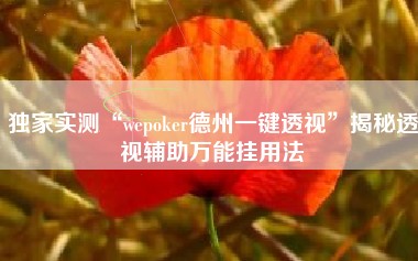 独家实测“wepoker德州一键透视”揭秘透视辅助万能挂用法