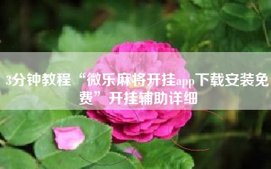 3分钟教程“微乐麻将开挂app下载安装免费”开挂辅助详细