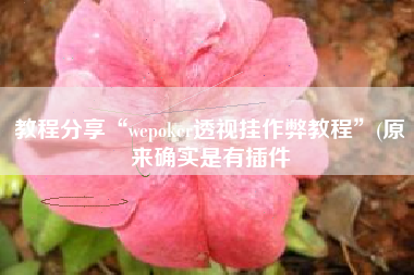 教程分享“wepoker透视挂作弊教程”(原来确实是有插件