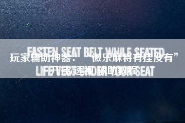 玩家辅助神器：“微乐麻将有挂没有”开挂(透视)辅助教程