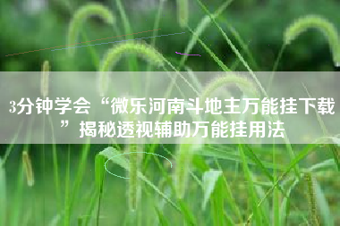 3分钟学会“微乐河南斗地主万能挂下载	”揭秘透视辅助万能挂用法