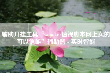 辅助开挂工具“wepoker透视脚本网上卖的可以信嘛”辅助器 - 实时智能