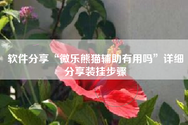 软件分享“微乐熊猫辅助有用吗	”详细分享装挂步骤