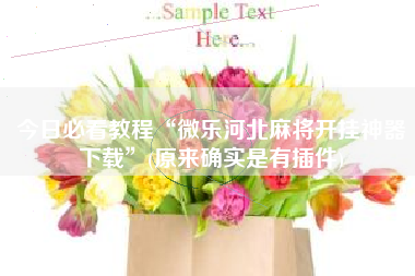 今日必看教程“微乐河北麻将开挂神器下载”(原来确实是有插件)