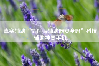 真实辅助“WePoker辅助器安全吗	”科技辅助神器手机
