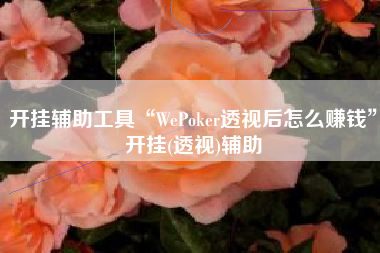 开挂辅助工具“WePoker透视后怎么赚钱	”开挂(透视)辅助
