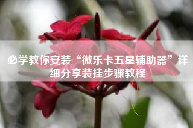 必学教你安装“微乐卡五星辅助器”详细分享装挂步骤教程