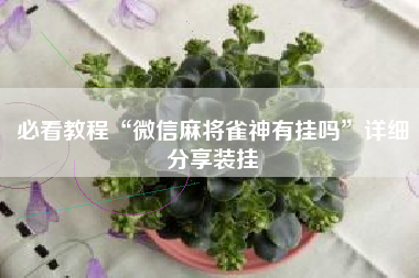 必看教程“微信麻将雀神有挂吗”详细分享装挂