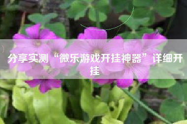 分享实测“微乐游戏开挂神器	”详细开挂
