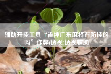 辅助开挂工具“雀神广东麻将有防挂的吗”作弊(透视)透视辅助