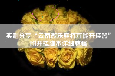 实测分享“云南微乐麻将万能开挂器”附开挂脚本详细教程