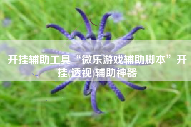 开挂辅助工具“微乐游戏辅助脚本”开挂(透视)辅助神器
